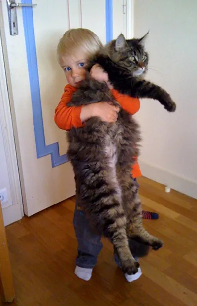 Me holding a long cat